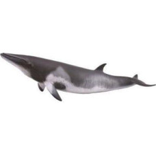 Collecta Figurka Collecta MINKE WHALE