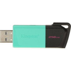 Kingston Pendrive Kingston PENDRIVE FD-256/DTXM-KINGSTON 256GB USB 3.2 Gen 1