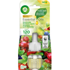 Air Wick Air Wick Electrical Deszczowa Świeżość Lasów Amazonii Odświeżacz Powietrza Wkład 19ML