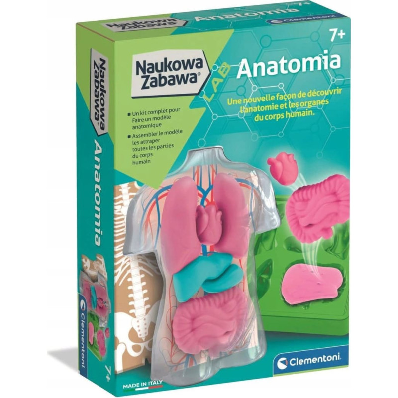 Clementoni CLM ANATOMIA ZEST KREAT 50252 PUD6