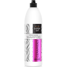 Chantal Prosalon Professional Basic Care Color Art Wzmacniający Szampon do włosów - Ceramides 1000ml