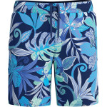 Speedo Męskie Szorty Print Brdshrt 18