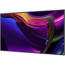Sony Standard Display 65