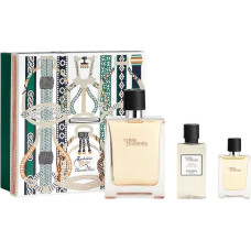 Hermes Terre D'Hermes zestaw woda toaletowa spray 100ml + woda toaletowa spray 12.5ml + balsam po goleniu 40ml