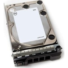 Dell Dysk serwerowy Dell 1 TB 3.5'' SATA III (6 Gb/s)  (400-BGEB)