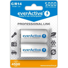 Everactive Rechargeable batteries everActive Ni-MH R14 C 5000 mAh Professional Line