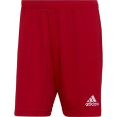 Adidas Spodenki adidas ENTRADA 22 Short H61735 H61735 czerwony XXXL