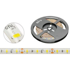 GTV Taśma LED GTV 5m 60szt./m 16W/m 12V  (LD-5630-300-65-CB)
