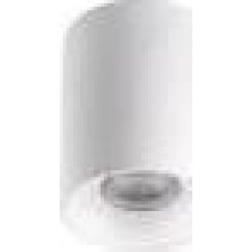 Kanlux Oprawa sufitowa punktowa natynkowa biała RITI GU10 W-W 27569