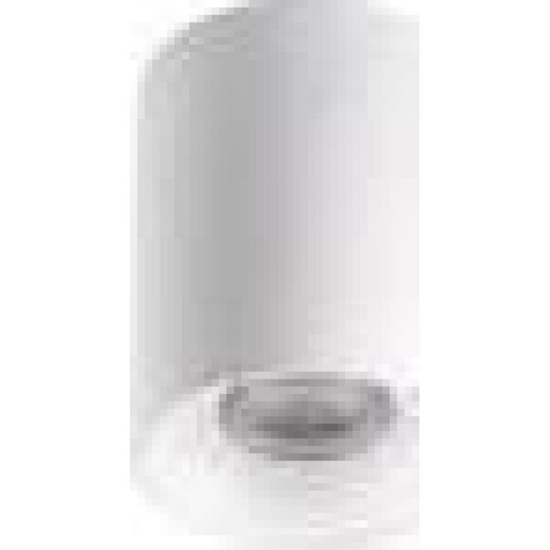 Kanlux Oprawa sufitowa punktowa natynkowa biała RITI GU10 W-W 27569