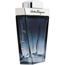 Salvatore Ferragamo Subtil EDT 100 ml