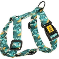 Dingo Szelki Guard Monstera S 2/24-45