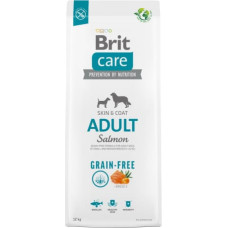 Brit Dry food for adult dogs, small and medium breeds - BRIT Care Grain-free Adult Salmon- 12 kg