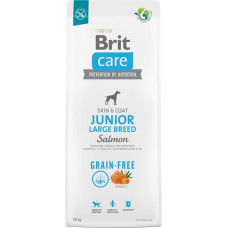 Brit Dry food for young dog (3 months - 2 years), large breeds over 25 kg - Brit Care Dog Grain-Free Junior Large salmon 12kg