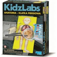 4M Anatomia klatka piersiowa - 3373