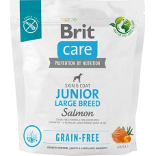 Brit Dry food for young dog (3 months - 2 years), large breeds over 25 kg - Brit Care Dog Grain-Free Junior Large salmon 1kg