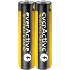 Everactive Alkaline batteries everActive Industrial Alkaline LR03 AAA  - carton box - 40 pieces