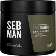 Sebastian Professional Plaukų pomada vyrams Sebastian Professional SEB MAN The Dandy Shiny 75 ml