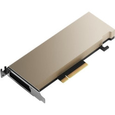 Nvidia Karta graficzna NVIDIA NVIDIA A2 - GPU-Rechenprozessor - A2 - 16 GB GDDR6 - PCIe 4.0 x8 Low-Profile - ohne Lufter
