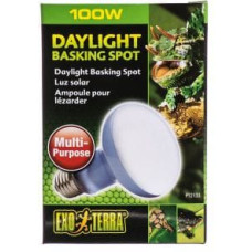 Hagen EXOTERRA ŻARÓWKA DAYLIGHT SPOT 150W