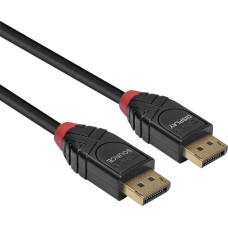 Lindy Kabel Lindy DisplayPort - DisplayPort 5.1m czarny (41167)