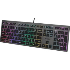 A4 Tech A4Tech FSTYLER FX60H (Neon Backlit) keyboard USB QWERTY Black, Grey
