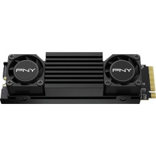 PNY Dysk SSD PNY Dysk SSD 1TB M.2 2280 CS3150 M280CS3150HS-1TB-RB BLACK HEATSINK