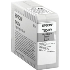 Epson Tusz Epson Wkład atramentowy UltraChromeHD Light Light Black (C13T850900)