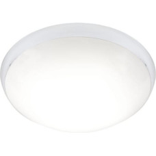 Lena Lighting Lampa sufitowa Lena Lighting Evo 1x20W LED (205323/HV)