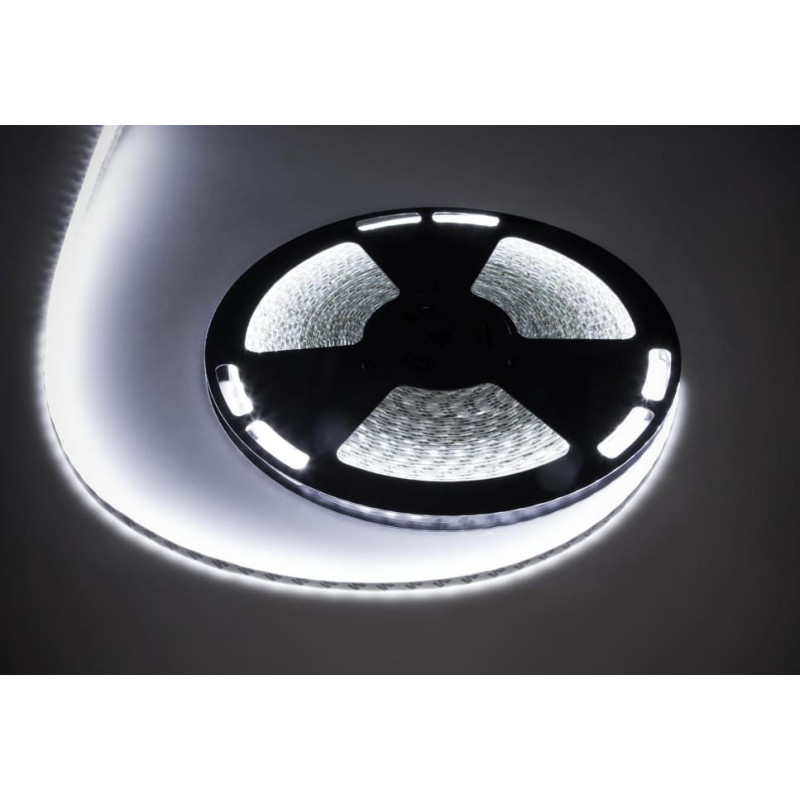 Rebel Taśma LED Rebel Sznur diodowy 25m Rebel (1500x5050 SMD) zimny biały wodoodporny, 12V
