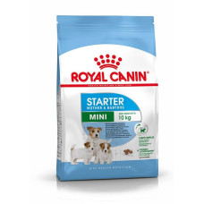 Royal Canin SHN Mini Starter M&B 1 kg