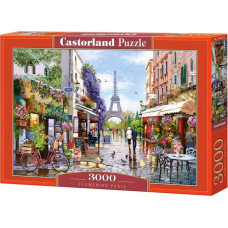Castorland Puzzle 3000 Fowering Paris CASTOR