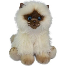 Anek Fluffy Fam kot Siamese 30cm