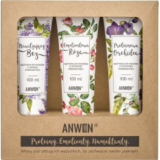 Anwen Zestaw 3 odżywek do wysokiej porowatości - 100 ml (ANW-195)