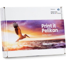 Pelikan Toner Pelikan Zestaw CMYK Zamiennik T2438 (4950730)