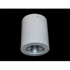 Azzardo Lampa sufitowa Azzardo Boris 1x50W  (gm4108wh)