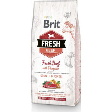 Brit Fresh Beef & Pumpkin Puppy Large Growth & Joints 12kg