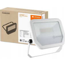 Ledvance Naświetlacz Ledvance NAŚWIETL.FLOOD LED PFM 30W/4000K SYM WT