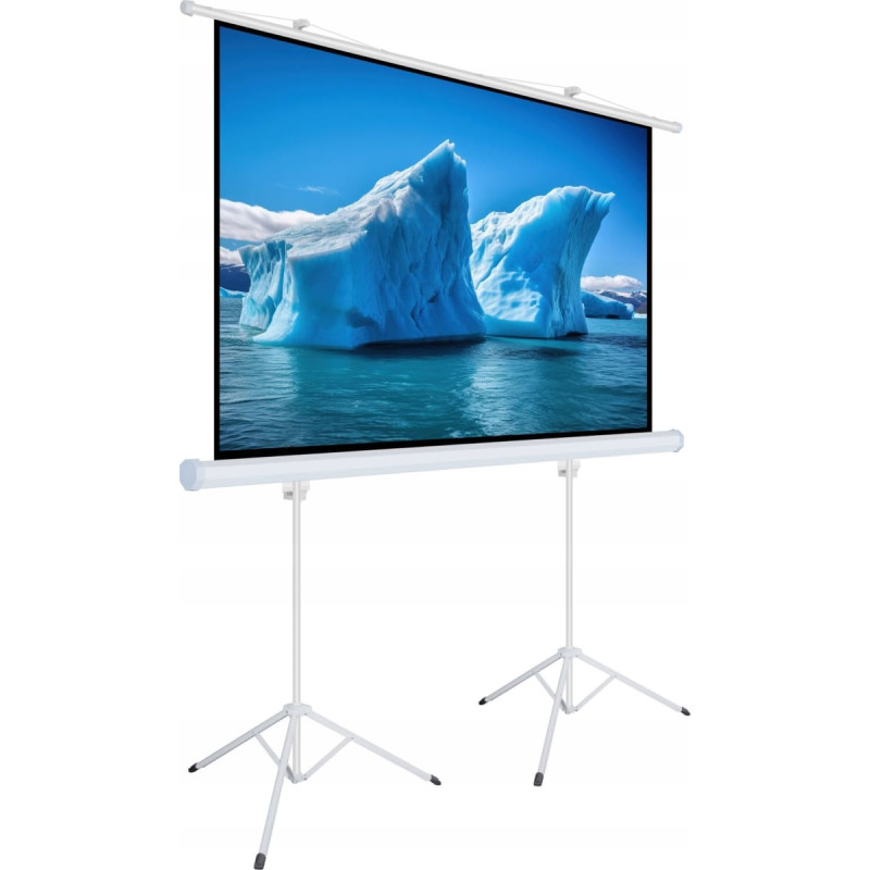 ART Ekran do projektora Art ART MANUAL SCREEN ON A TRIPOD 140inch 254x254cm TA-140 1:1 double tripod