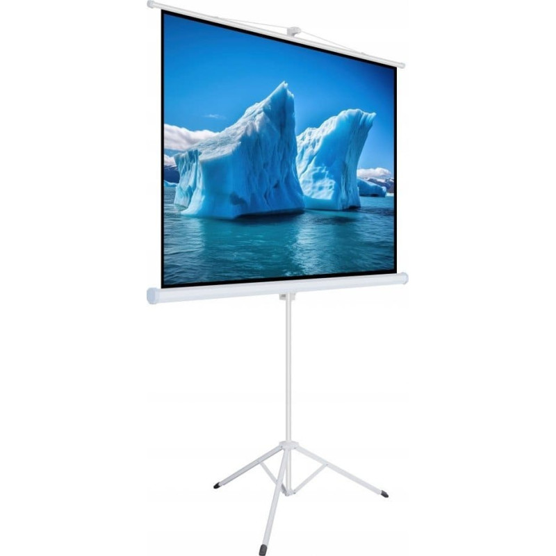 ART Ekran do projektora Art ART MANUAL SCREEN ON A TRIPOD 120inch 183x244cm TA-120 4:3