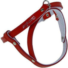 Champion Szelki 50 czerwone SD(R)