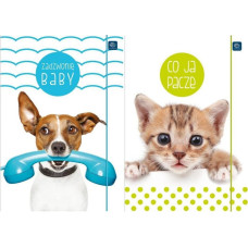 Interdruk Teczka z gumką A4+ LUX UV Puppy Sign (10szt)