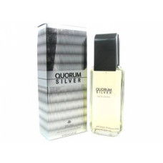 Antonio Puig Quorum Silver EDT 100 ml