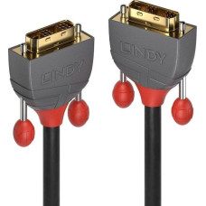 Lindy Kabel Lindy DVI-D - DVI-D 10m czarny (36240)