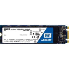 WD Dysk SSD WD Blue 250GB M.2 2280 SATA III (WDS250G1B0B)