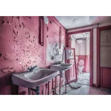 Ravensburger Ravensburger Puzzle Lost Places Pink Dreams (1000 pieces)