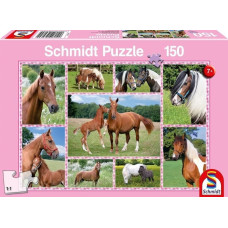 Schmidt Spiele Puzzle 150 Konie G3