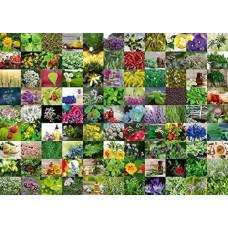 Ravensburger Puzzle 1000 elementów 99 Ziół