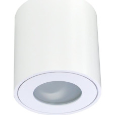 Ecolight2 Lampa sufitowa ECOLIGHT2 Eco Light EC79971 spot lampa sufitowa 1x35W GU10 biały