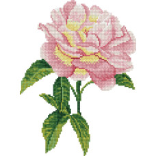 Diamond Dotz Haft diamentowy Diamond Dotz Różowa róża 35,7x43,7cm DD5069